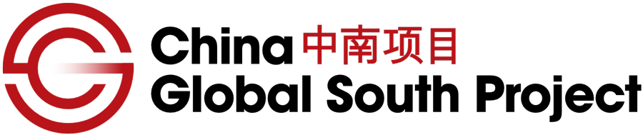 The China-Global South Project
