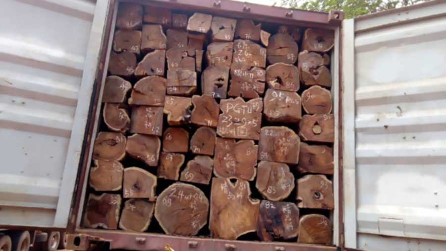         
        
            
            
        
    Ghanaian Rosewood is Showing Up in China But No One’s Really Sure How It’s Getting There