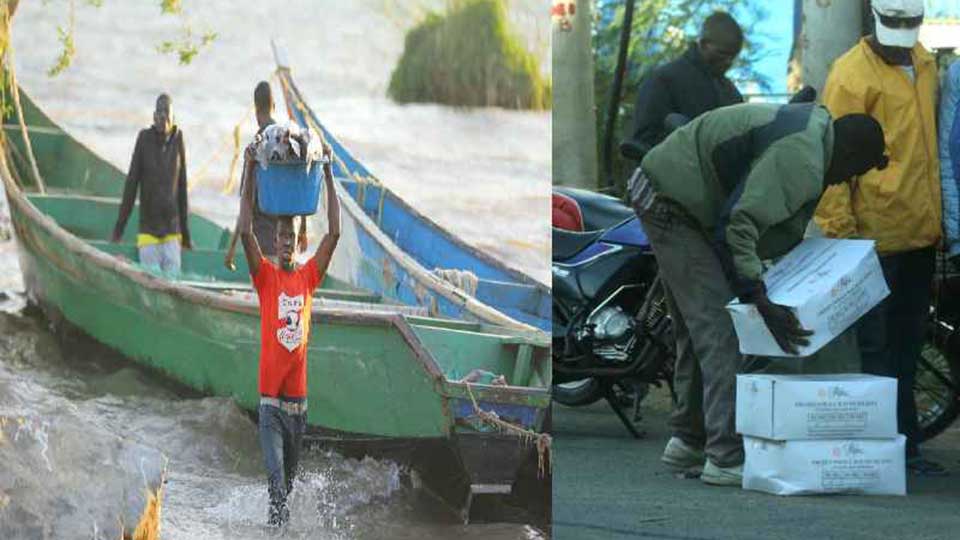         
        
            
            
        
    Frozen Imported Chinese Fish Being Passed Off as Fresh Catch in Kenya