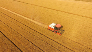 China palm oil supply guarantees top Jakarta farm talks as Beijing also seeks rubber and bird’s-nest access, rice R&D, and deeper ties.