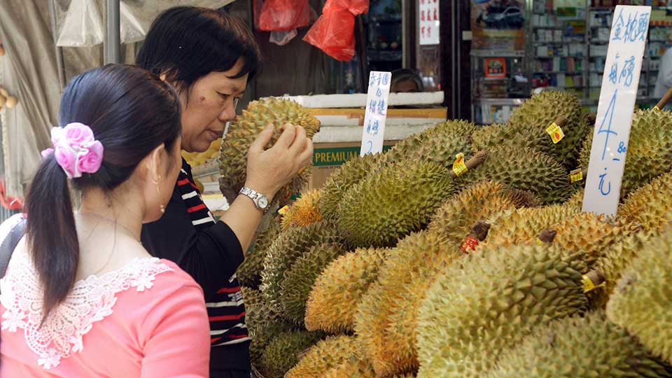 China’s insatiable appetite for durian is fueling a high-stakes competition among Southeast Asian suppliers, with Indonesia now pushing to enter the lucrative market.