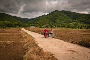 Thailand asks China to complete a 280,000-ton rice purchase and explores an extra 500,000 tons in 2025.
