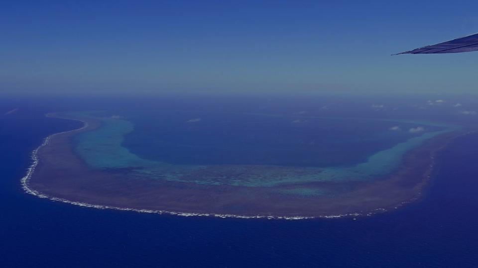         
        
            
            
        
    Chinese and Philippine Ships Collide Near Shoal, Tensions Flare