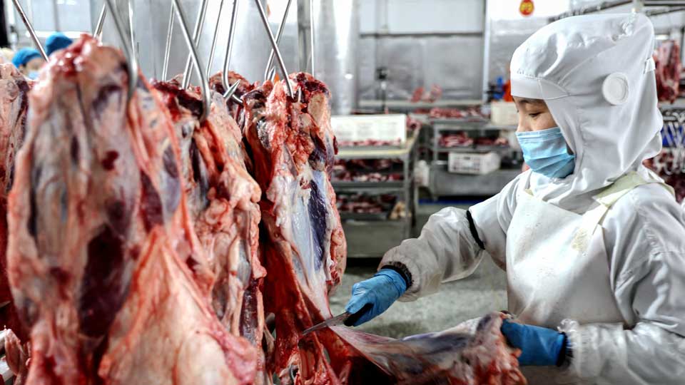         
        
            
            
        
    China Launches Investigation Into Beef Imports