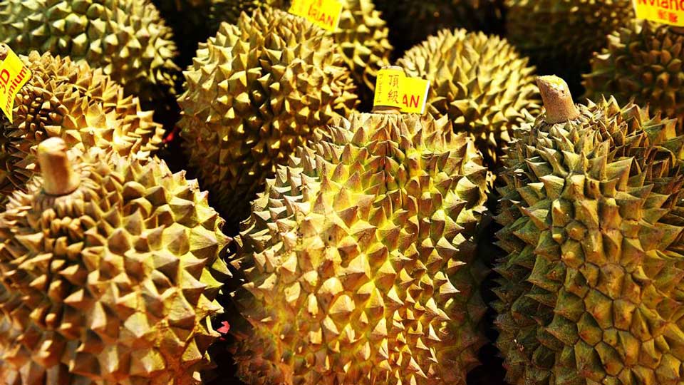 Thailand’s fruit exports soared to $6.51 billion in 2024, with the overwhelming majority—97.4%—heading straight to China, according to the Trade Policy and Strategy Office (TPSO).