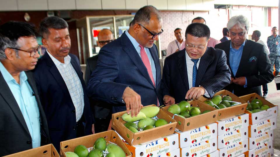         
        
            
            
        
    Mango Deal Sweetens Ties Between Bangladesh and China