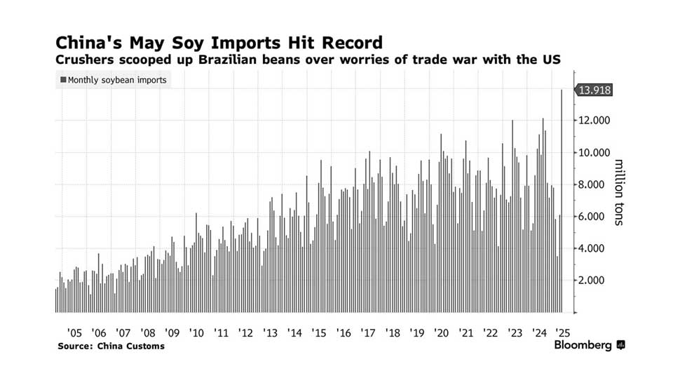         
        
            
            
        
    China’s Soy Imports Reach New Record as Shift From U.S. to Brazil Accelerates