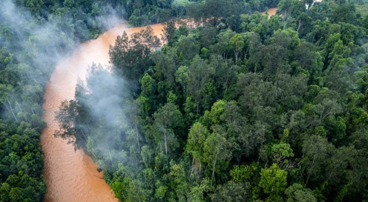 Can China and Indonesia Help Save the World’s Rainforests?