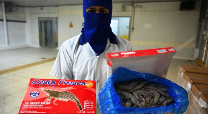 Betting on Beijing: How a Diplomatic Switch Sank Honduras’s Shrimp Exports