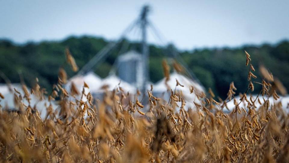         
        
            
            
        
    WEEK IN REVIEW: China Secures Soybeans from Argentina, Snubs U.S. Exports