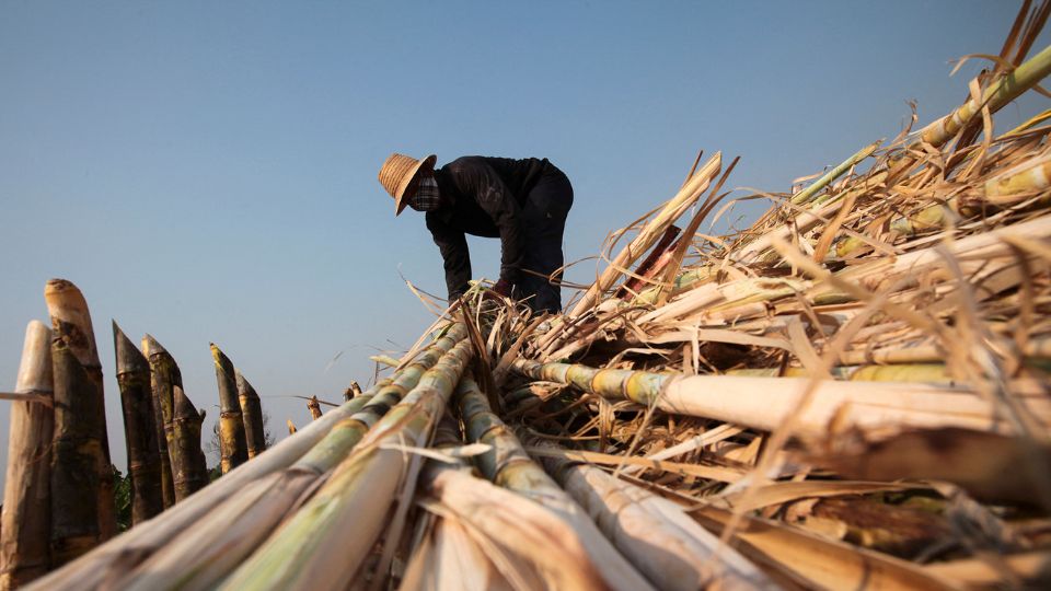 China’s customs authority bans all Thai syrups and sugar blends after factory safety failures, deepening a trade dispute.