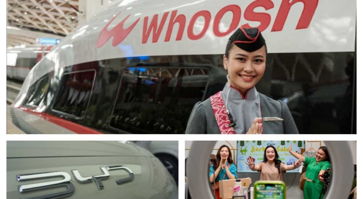 The Three Faces of Chinese Investment in Southeast Asia: SOEs, POEs, and MNEs