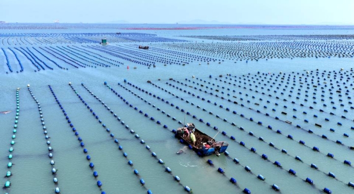 Leading from the “Global Middle”: China’s Bid to Host the New Ocean Treaty