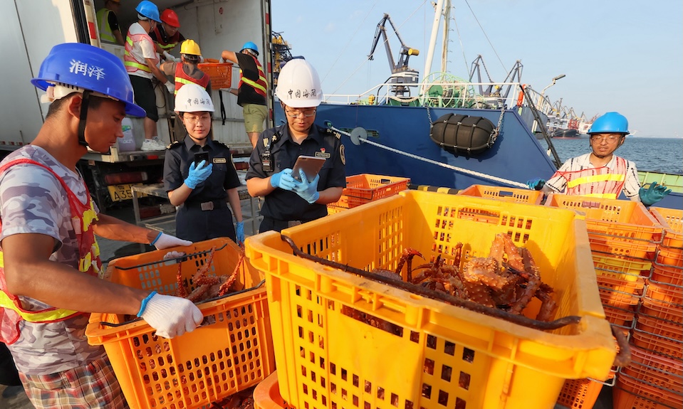 China Bans Chile Poultry Imports Due to Bird Flu