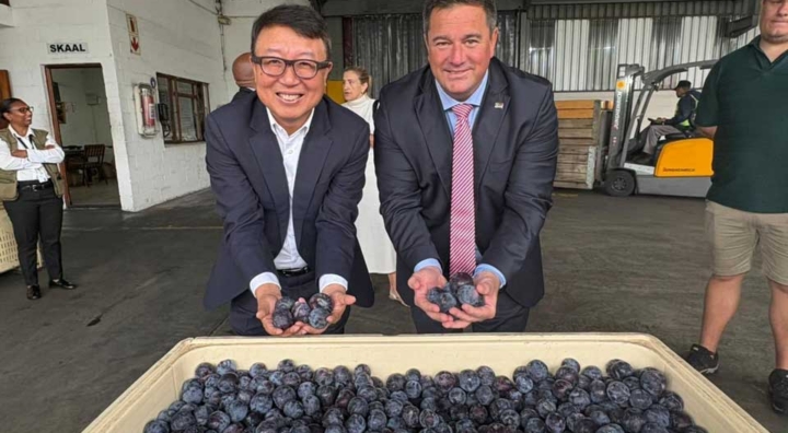 China’s Zero-Tariff Promise to Africa Masks a Deepening Trade Imbalance