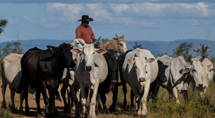 Brazil’s Beef Diplomacy and the Limits of Strategic Autonomy