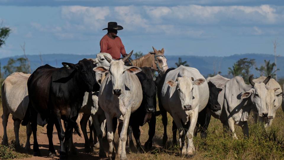 Brazil’s Beef Diplomacy and the Limits of Strategic Autonomy